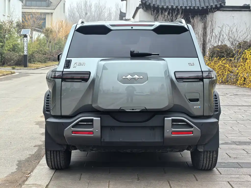 FANG CHENG BAO TITANIUM 3