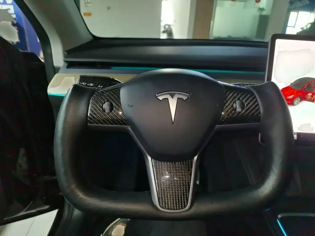 Tesla Model Y — миниатюра 11