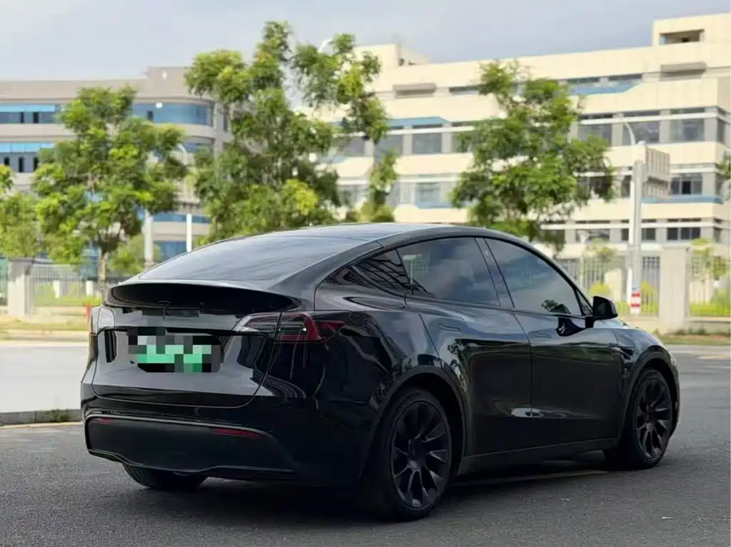 Tesla Model Y — миниатюра 8
