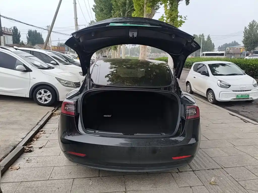 Tesla Model 3 — миниатюра 19