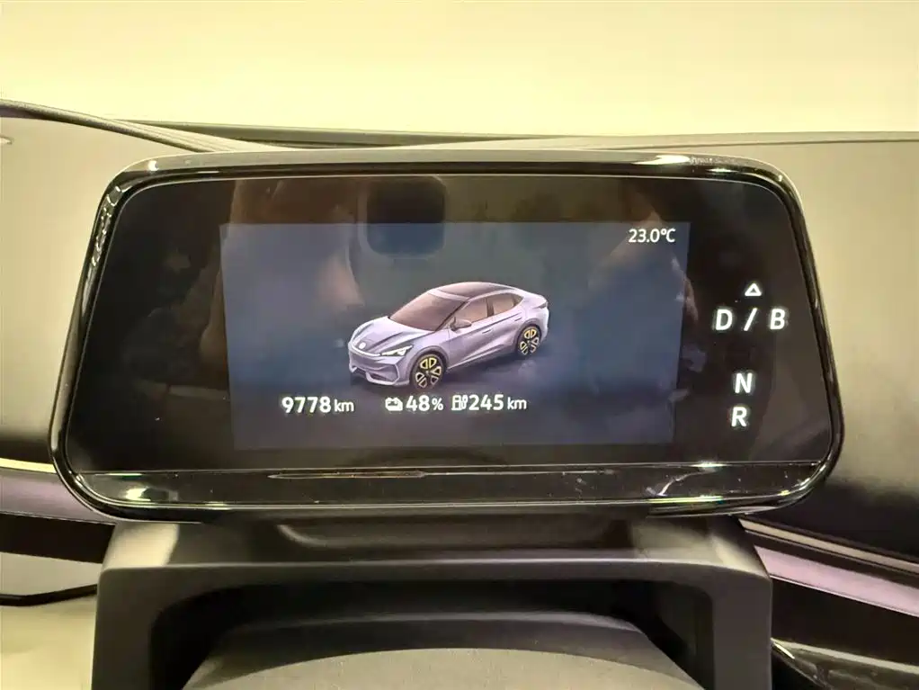 VOLKSWAGEN WITH THE CROWD 06