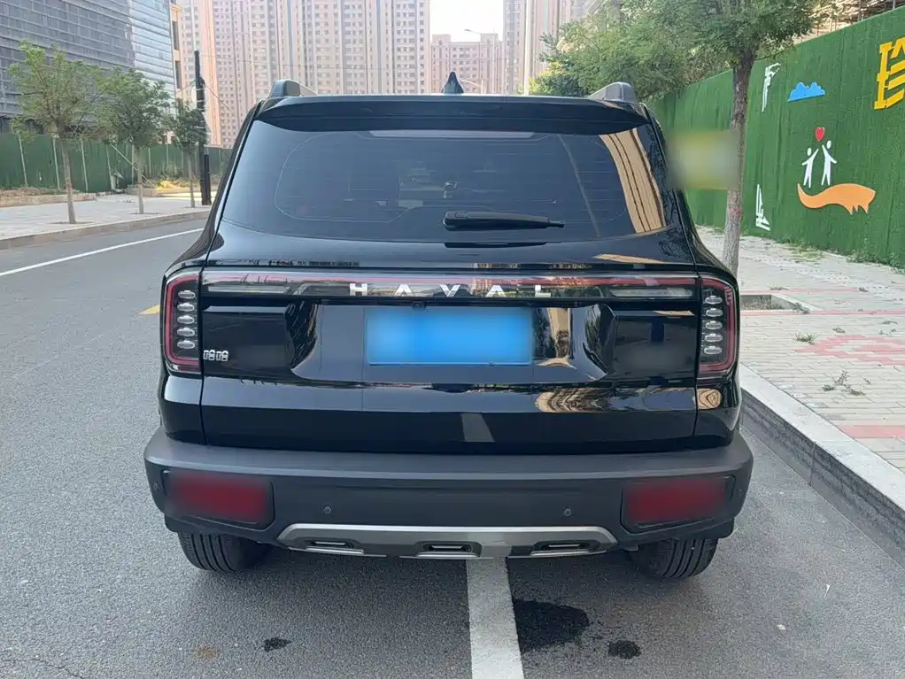 Haval Big Dog — миниатюра 13