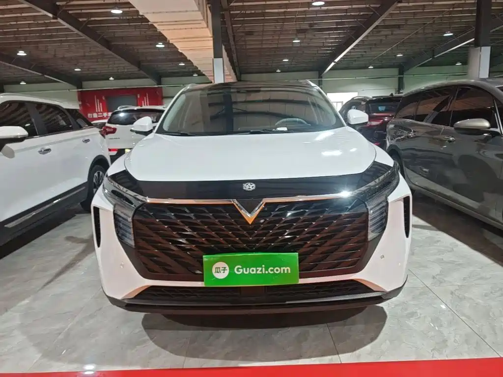 Venucia V — миниатюра 3