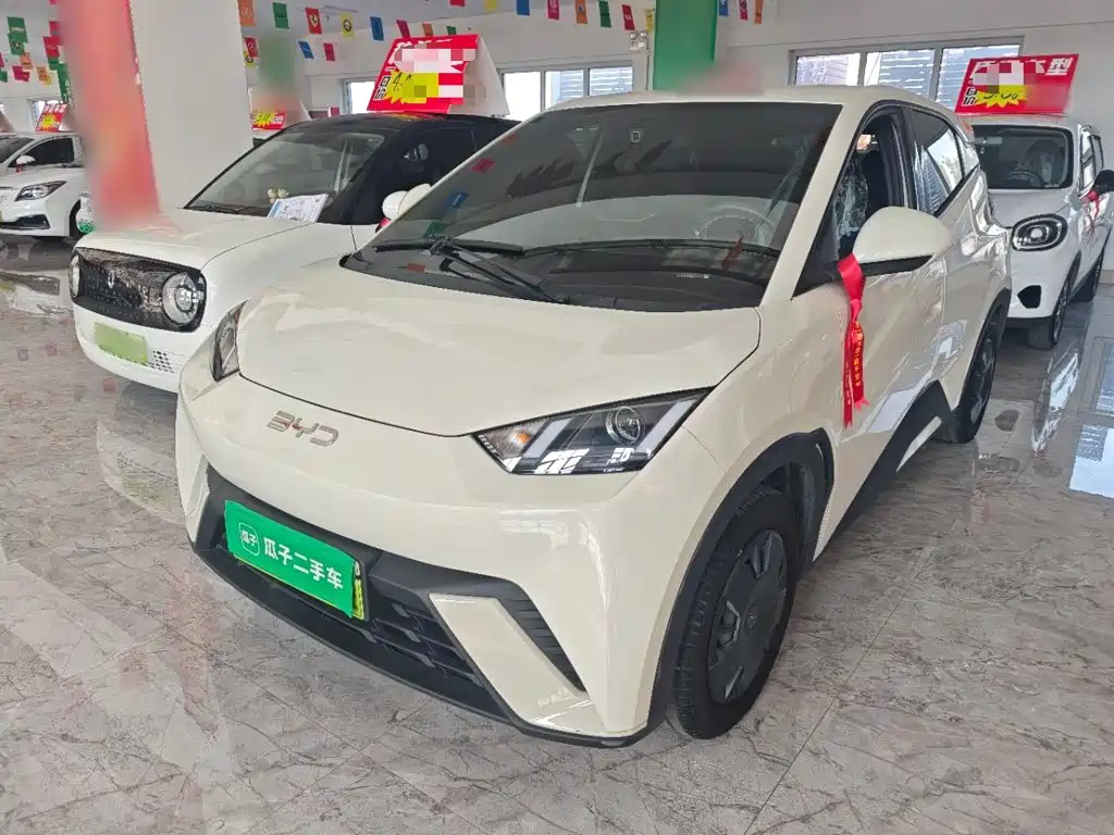 BYD Seagull