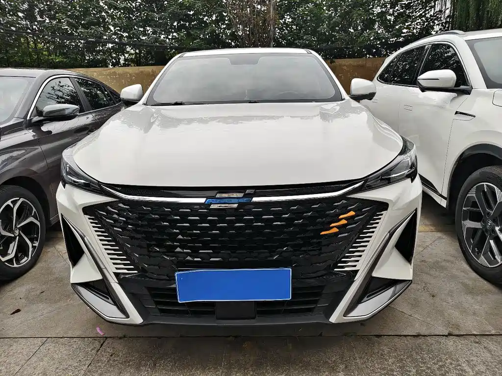 Changan Oshan X5 PLUS 2023 — фото 2