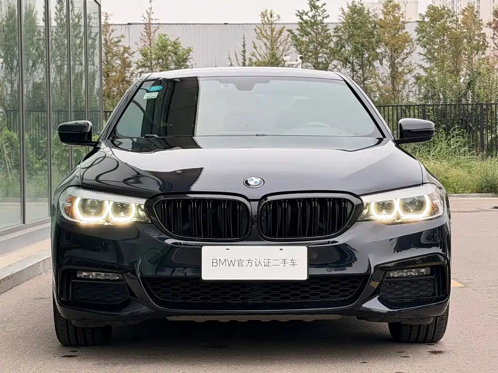 BMW 5 Series — миниатюра 5