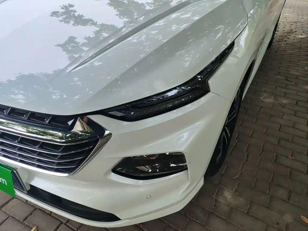 Wuling Victory — миниатюра 24