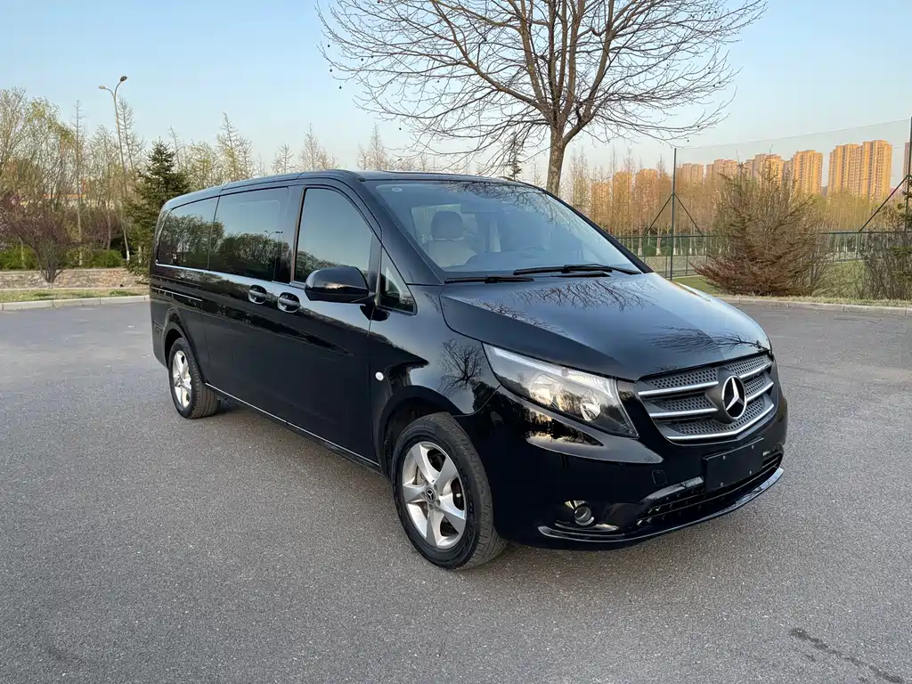 Mercedes-Benz Vito 2021 2.0T Elite 9 мест