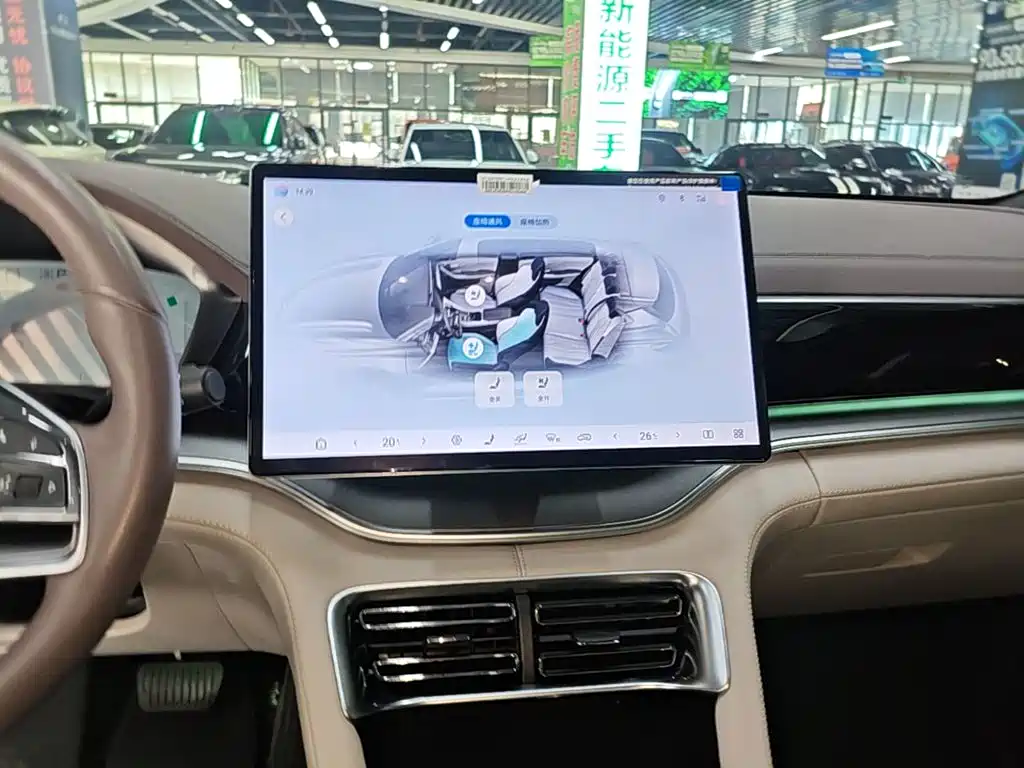 BYD PLUS New Energy — миниатюра 13