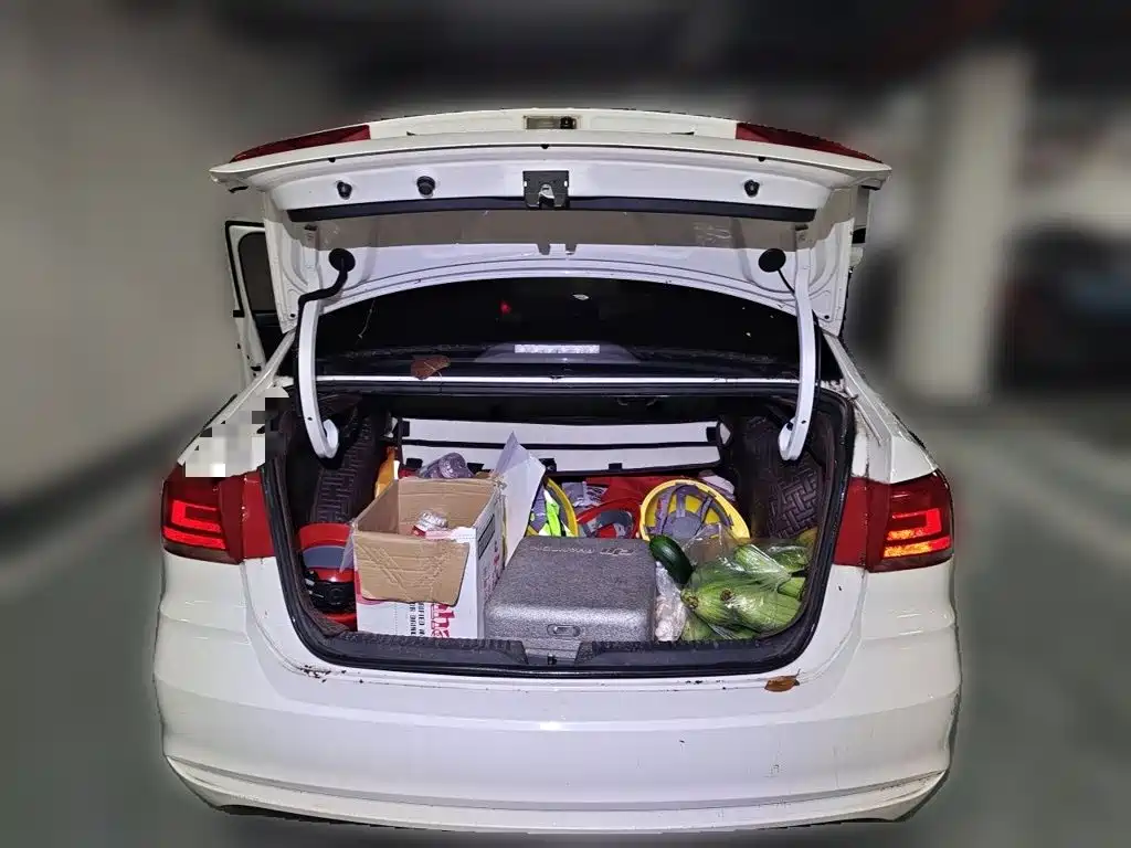 Volkswagen Santana — миниатюра 10