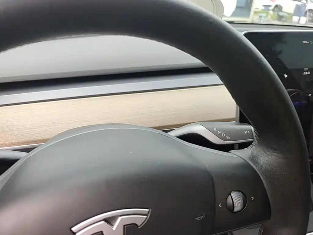 Tesla Model Y — миниатюра 19