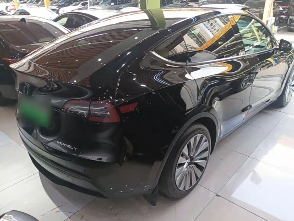 Tesla Model Y — миниатюра 7