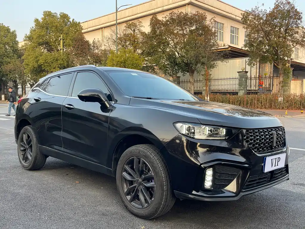 Wey Wey VV5 — миниатюра 3