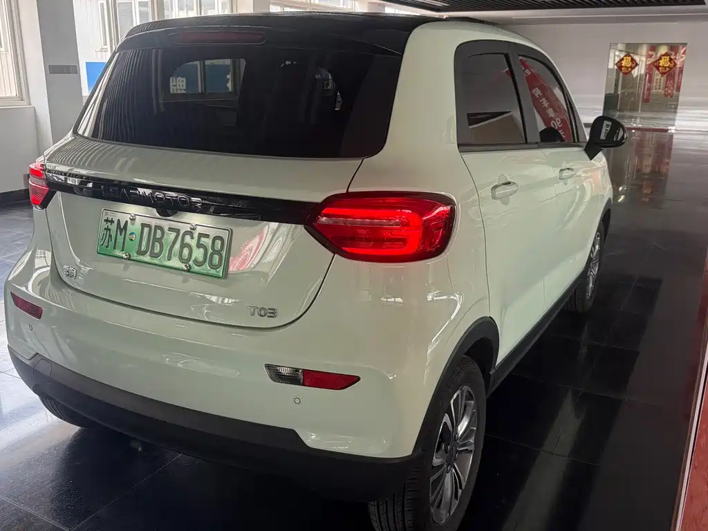 Leapmotor T03 2025 310