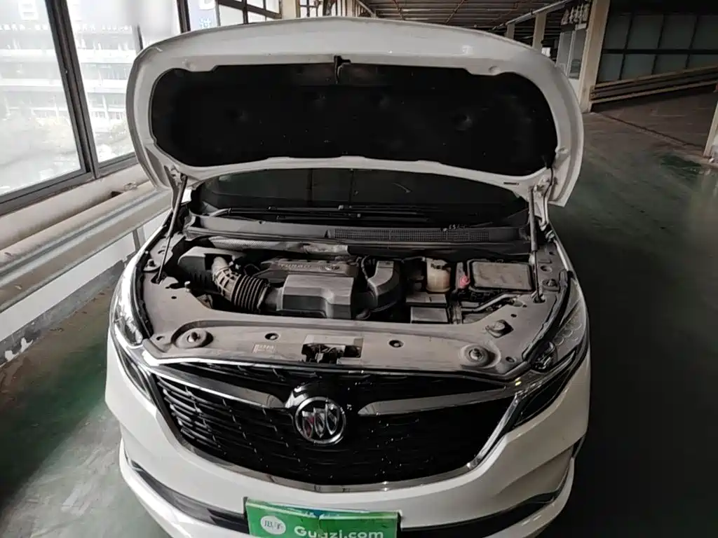 Buick GL8 — миниатюра 20