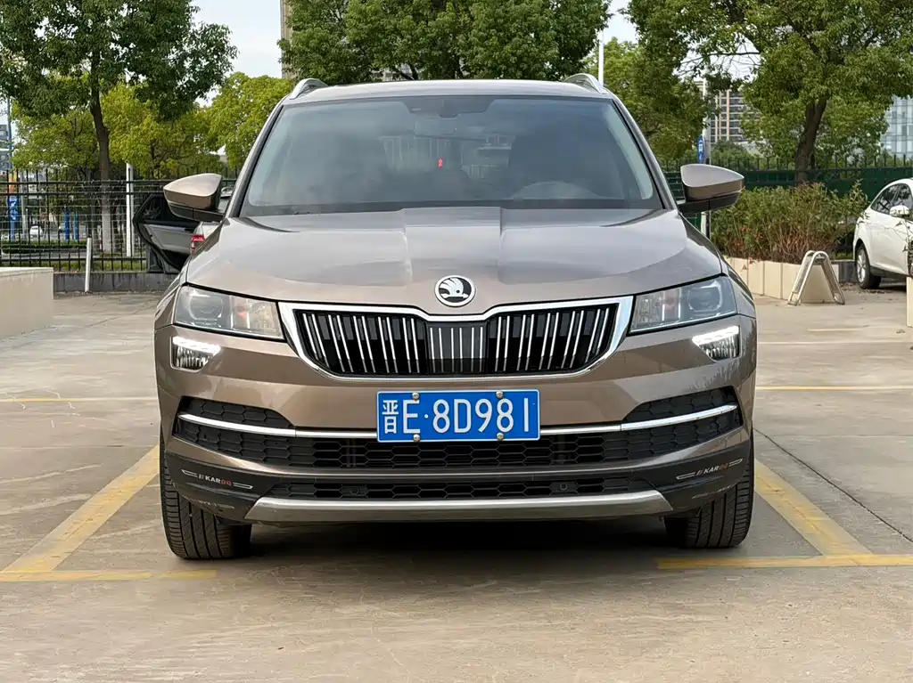 Skoda Karoq — миниатюра 2