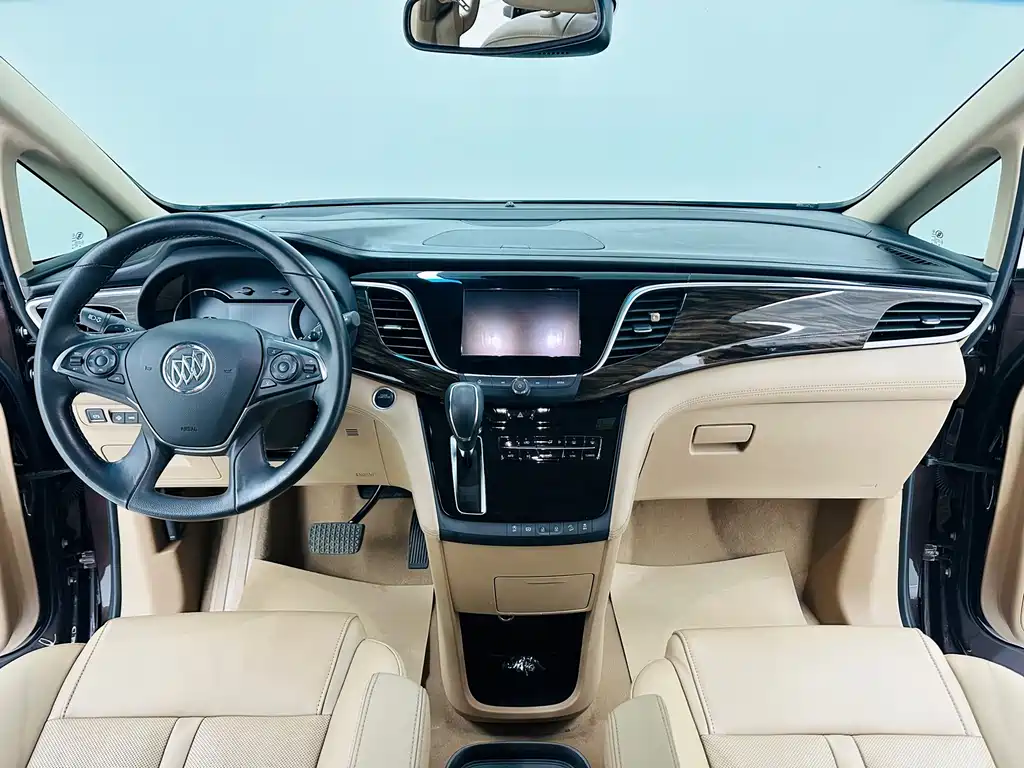 Buick GL8 — миниатюра 12