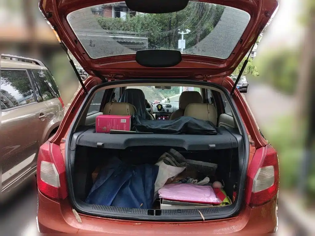 Skoda Fabia — миниатюра 20