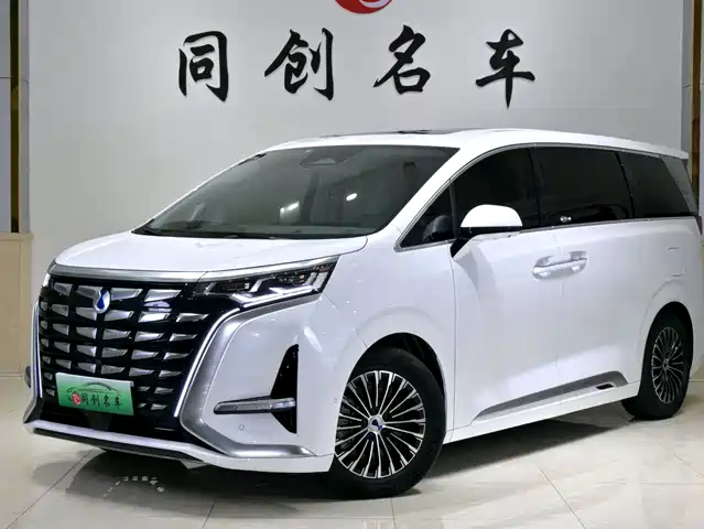 2023 Denza D9