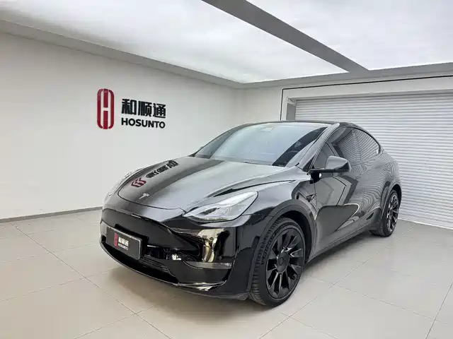 TESLA MODEL Y 2021