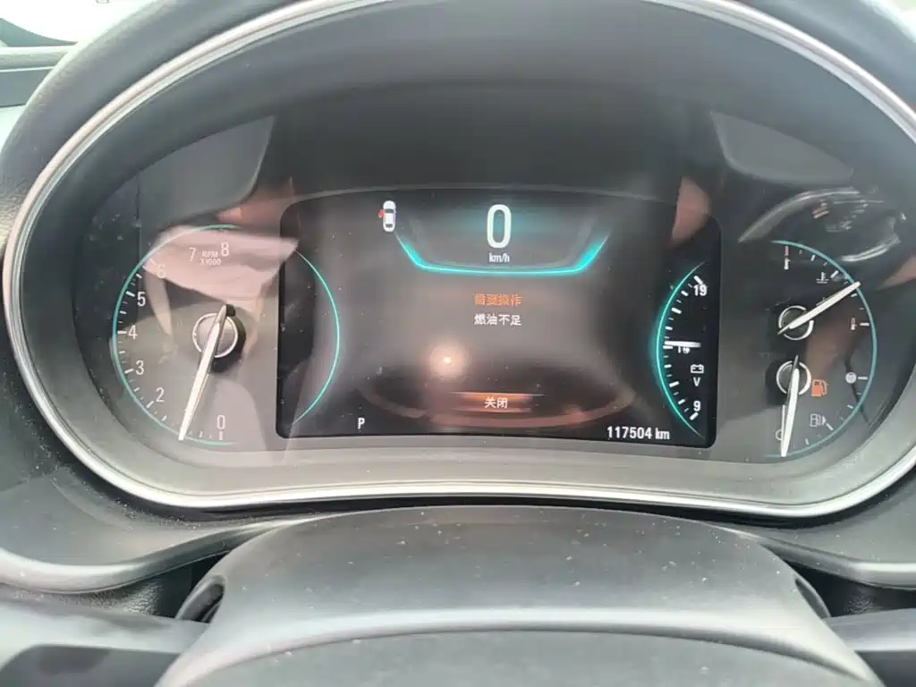 Buick Regal — миниатюра 12