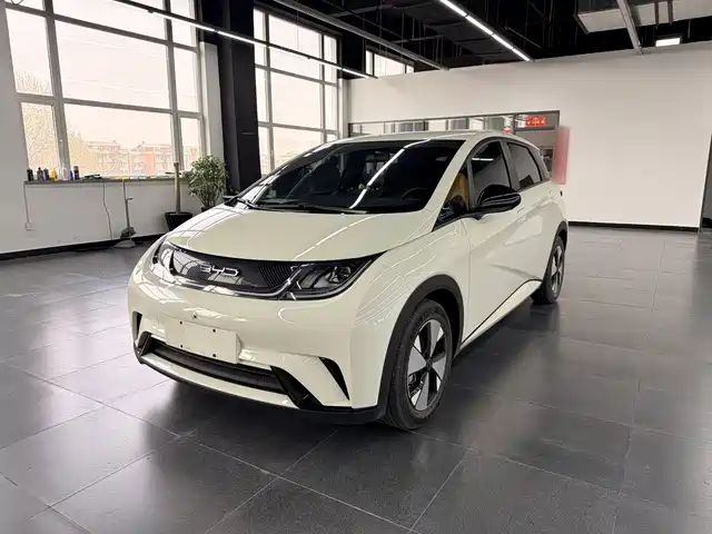 2023 BYD Dolphin