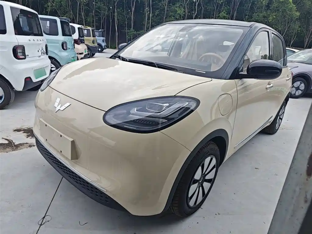 Wuling Binguo 2025 333km Enjoy