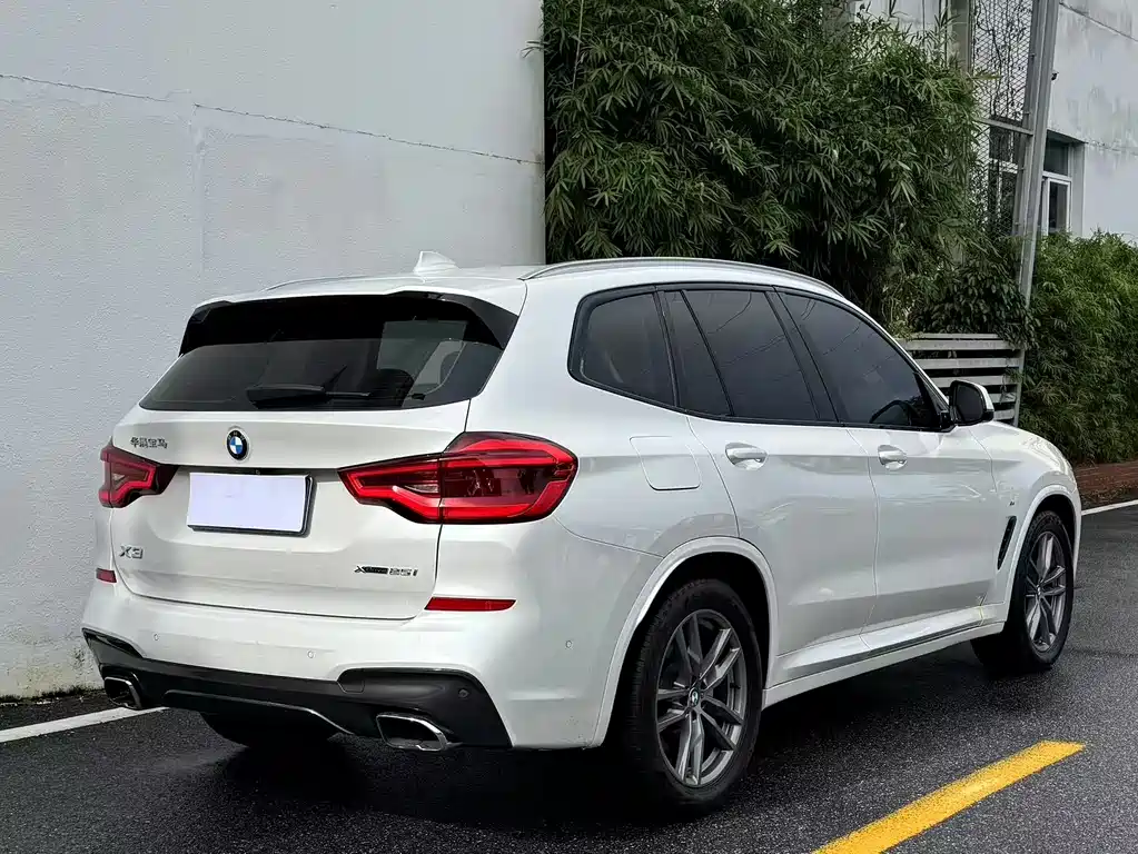 BMW X3 2018 xDrive25i M Sport VI
