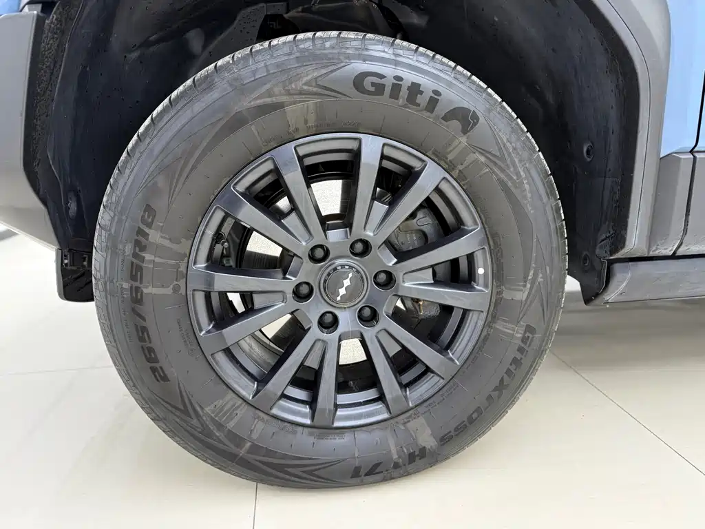 FANG CHENG BAO LEOPARD 5