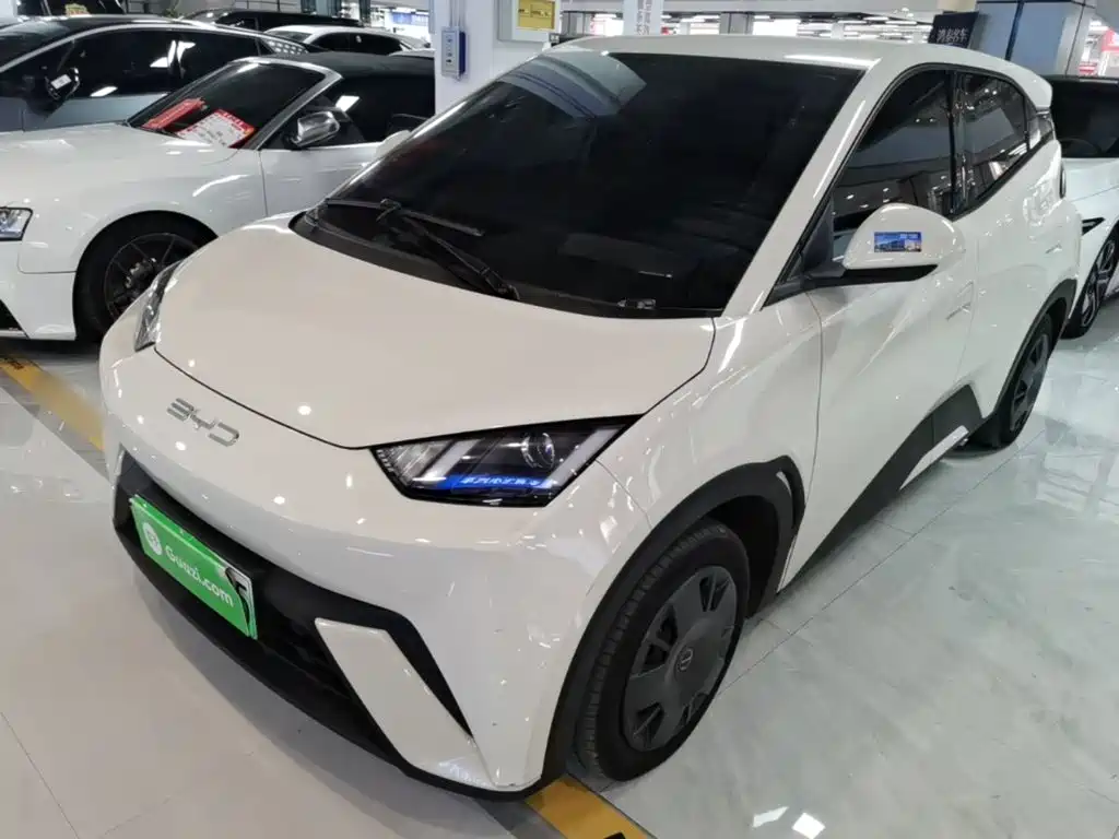 BYD Seagull
