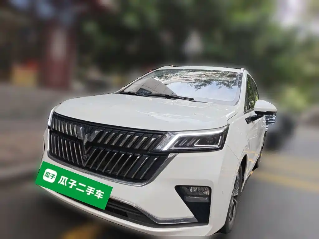 Wuling Jiachen — миниатюра 2