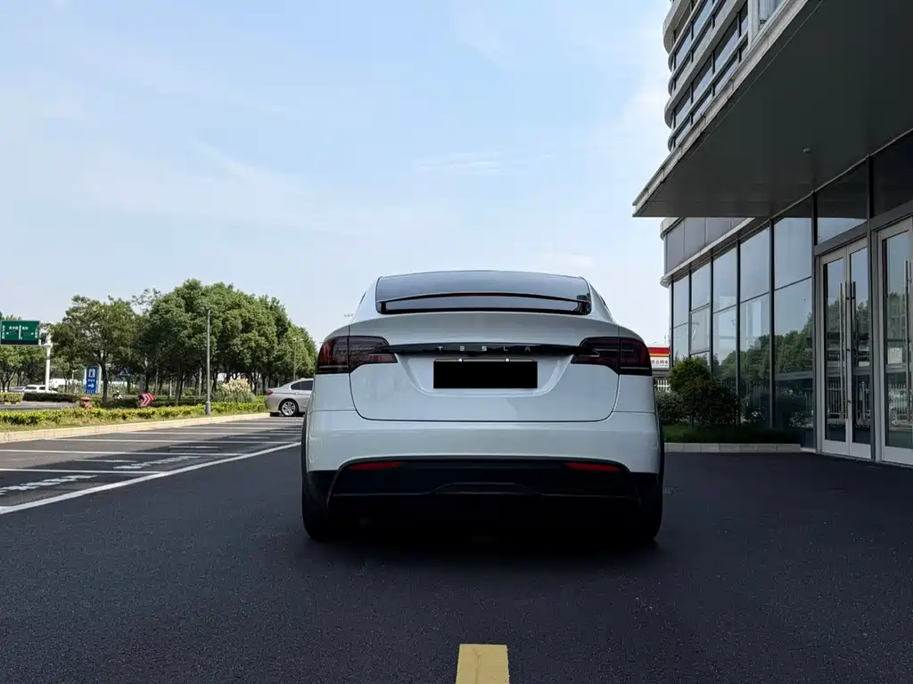 Tesla Model X — миниатюра 4