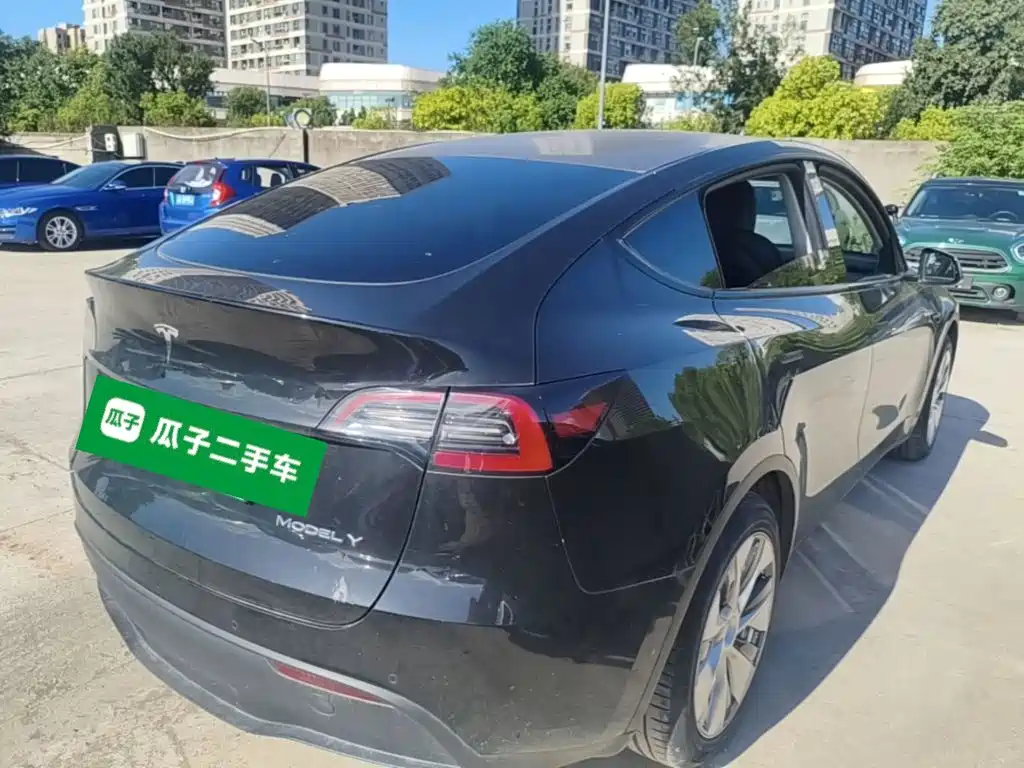 Tesla Model Y — миниатюра 7