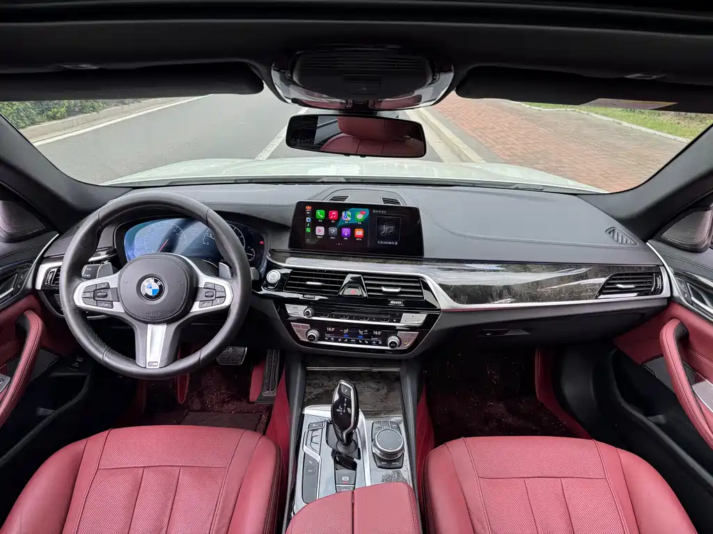 BMW 5 Series 5 2019 530Li Premium M Sport
