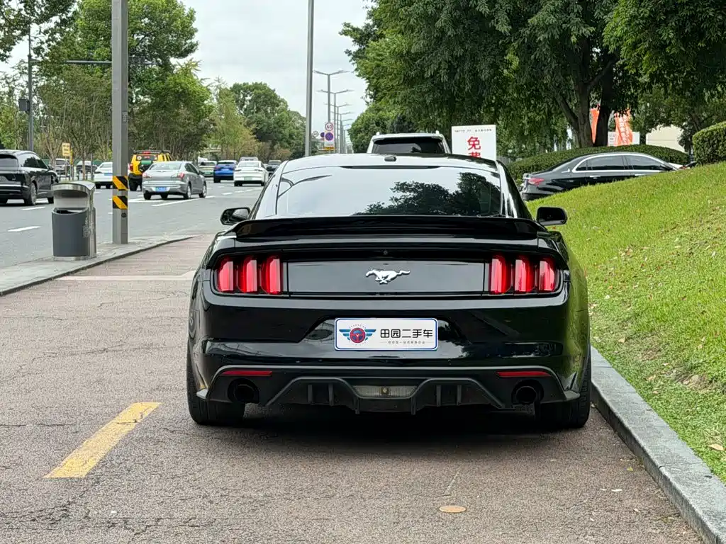 Ford Mustang — миниатюра 5
