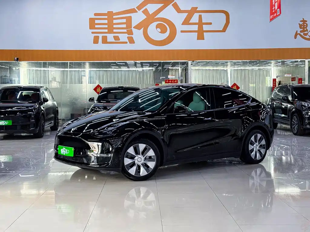 Tesla Model Y 2021 Standard Range RWD Edition
