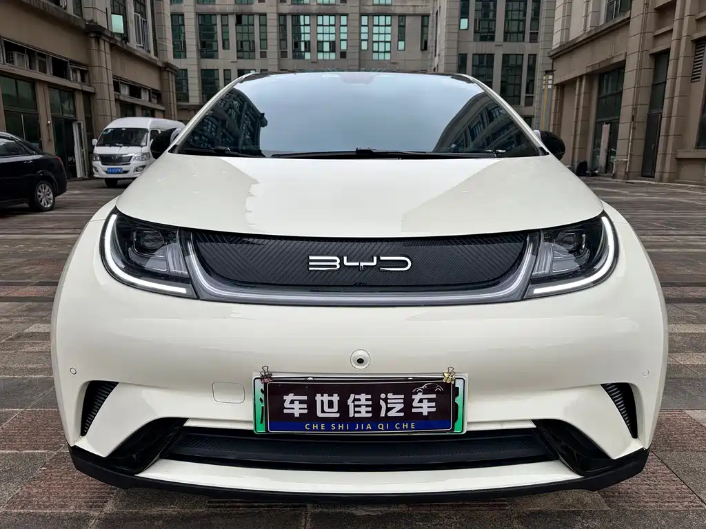 BYD Dolphin — миниатюра 2
