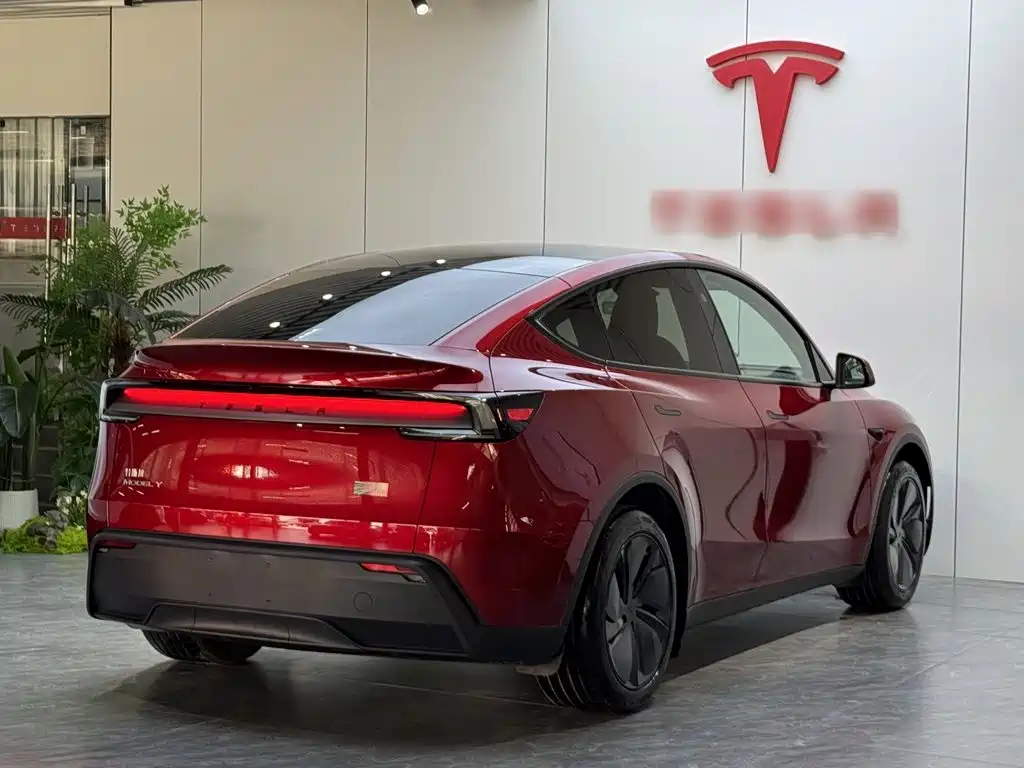 Tesla Model Y — миниатюра 7