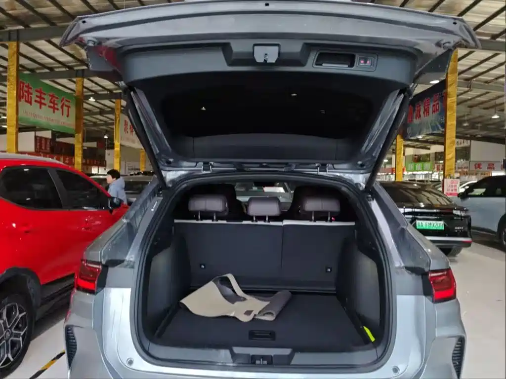 BYD SONGJIANG NEW ENERGY