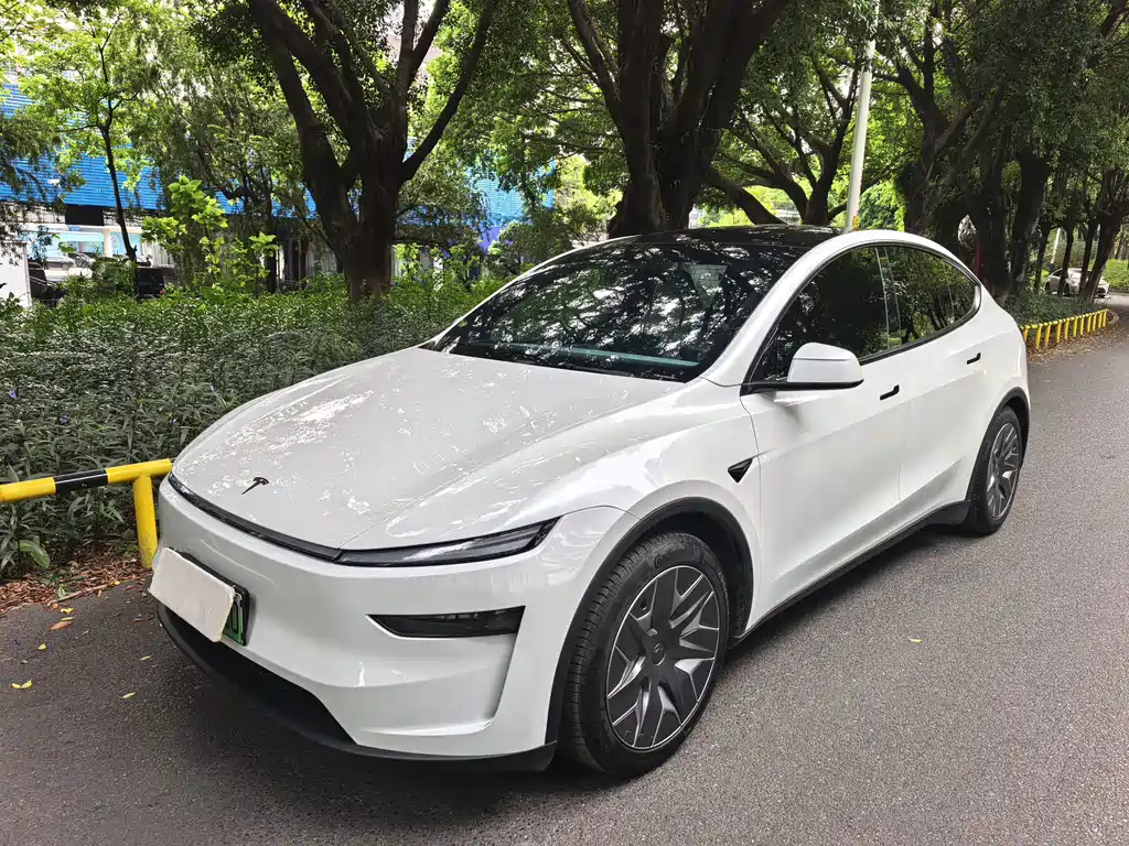 Tesla Model Y L