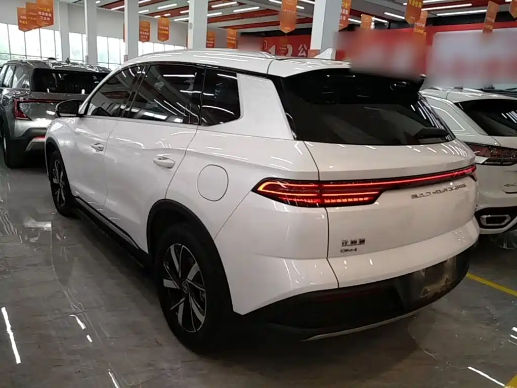 BYD Pro New Energy — миниатюра 5