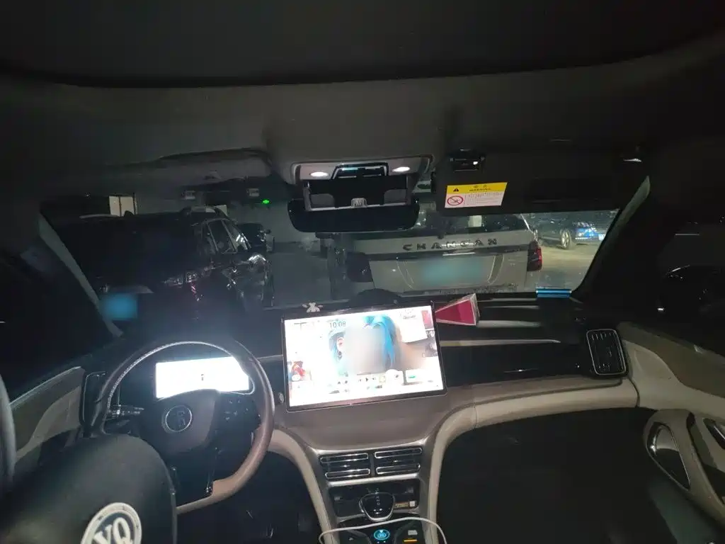 BYD Pro New Energy — миниатюра 13