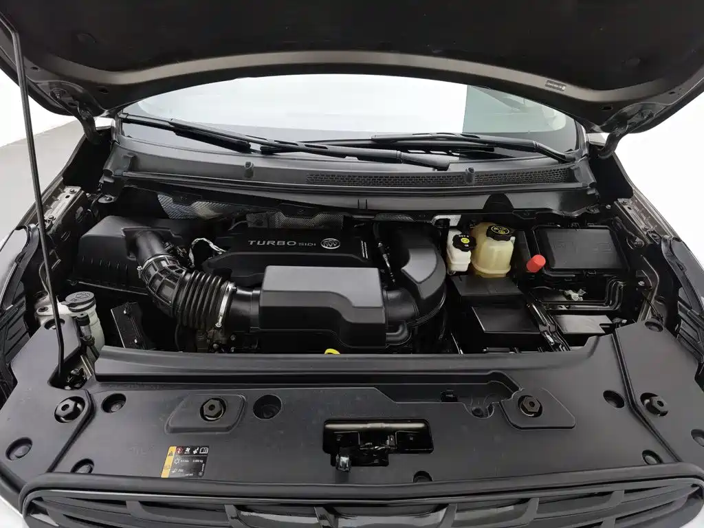 Buick GL8 — миниатюра 6