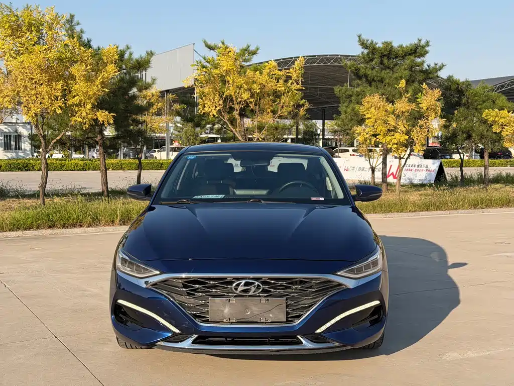 Hyundai Fista — миниатюра 3