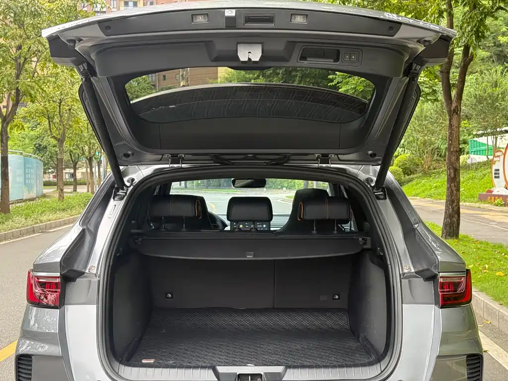 BYD PLUS New Energy — миниатюра 16
