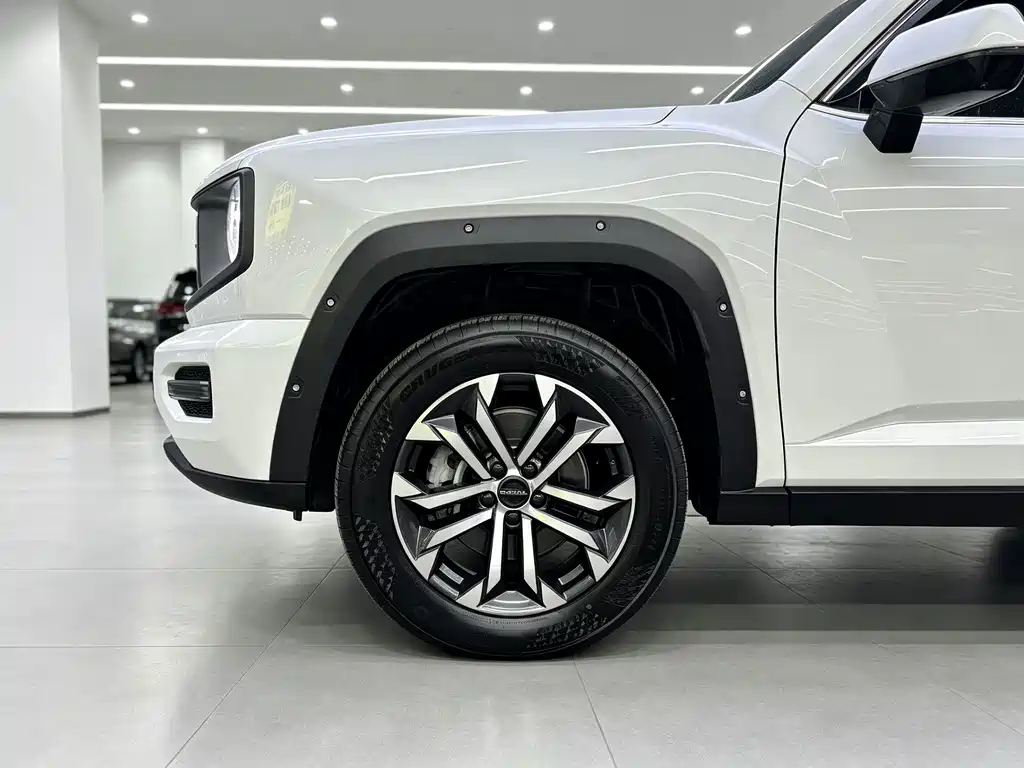 Haval Big Dog PLUS — миниатюра 12
