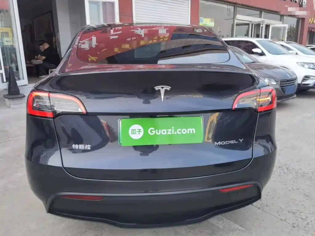 Tesla Model Y — миниатюра 6