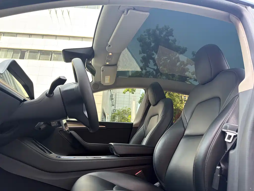 Tesla Model Y — миниатюра 4