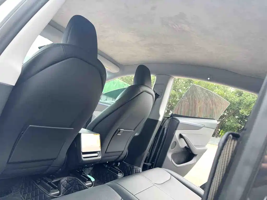 Tesla Model Y — миниатюра 5