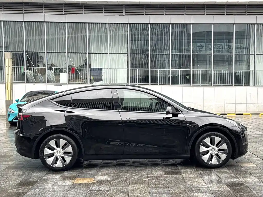 Tesla Model Y — миниатюра 7